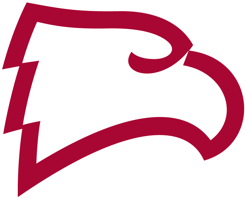 Winthrop Eagles 1995-Pres Alternate Logo v3 diy fabric transfer